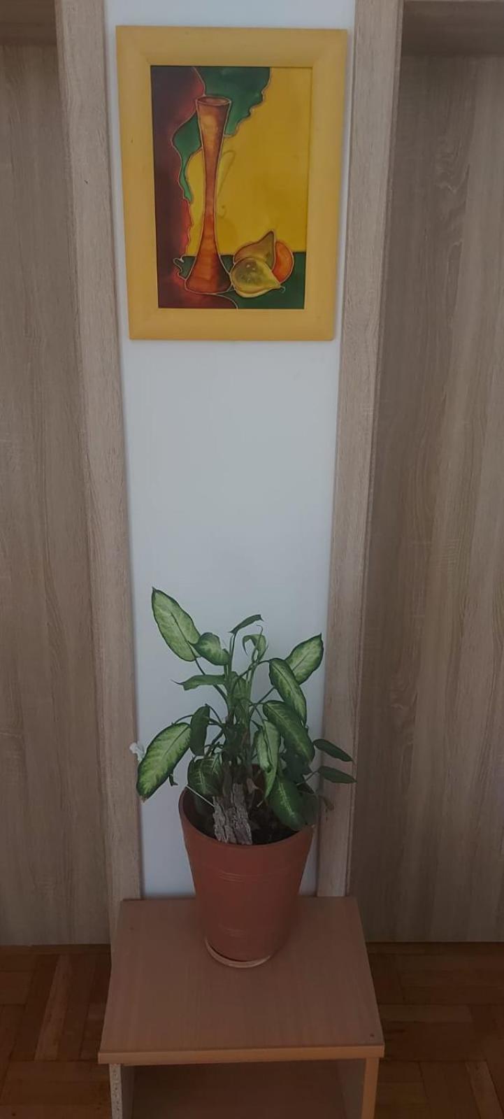 Hostel Poznań Eksteriør bilde